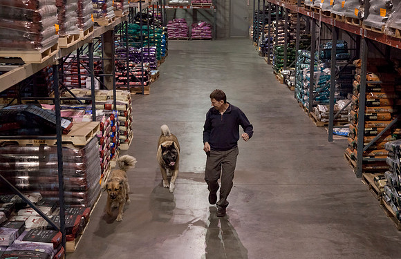 Jerry & the dogs having fun in the warehouse