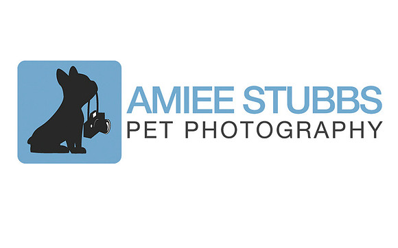 Nashville Dog Photographer
